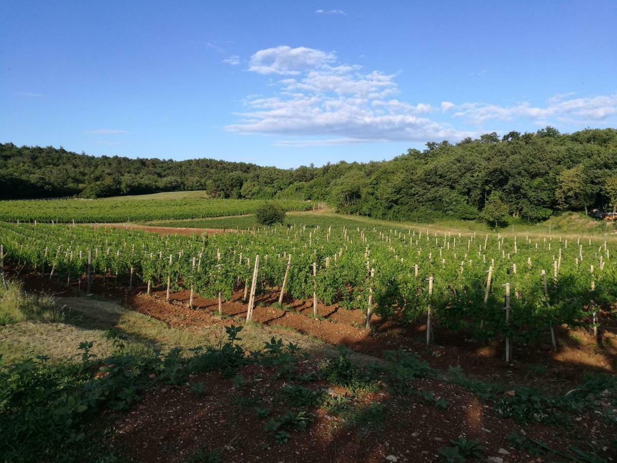 Agriturismo Ostrouska Sgonico Exteriér fotografie